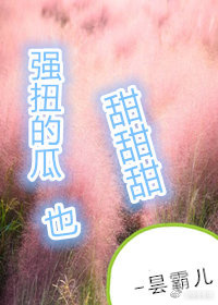 ���̸߰�(H��)