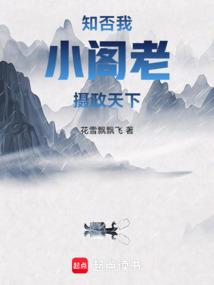 知否:我,小阁老,摄政天下