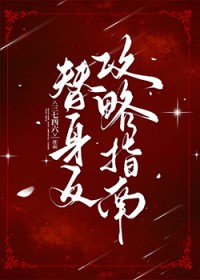 ����������ָ��